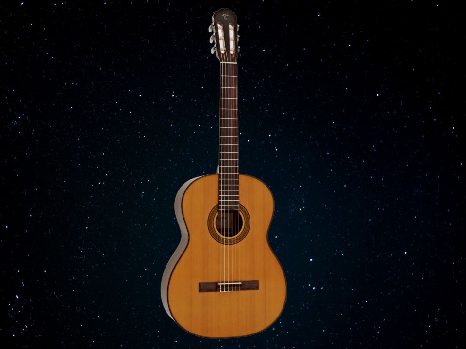 Classic Takamine GC5CE-NAT