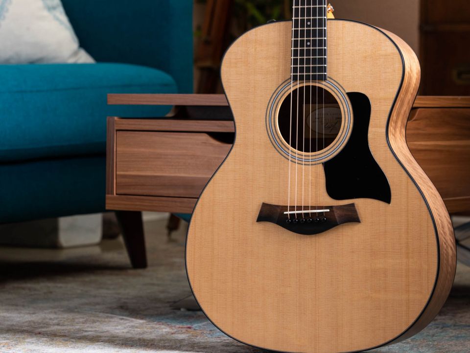 Taylor 114E