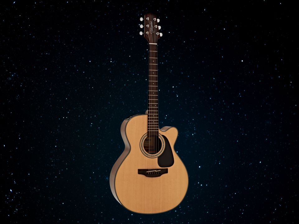 Taylor 310CE
