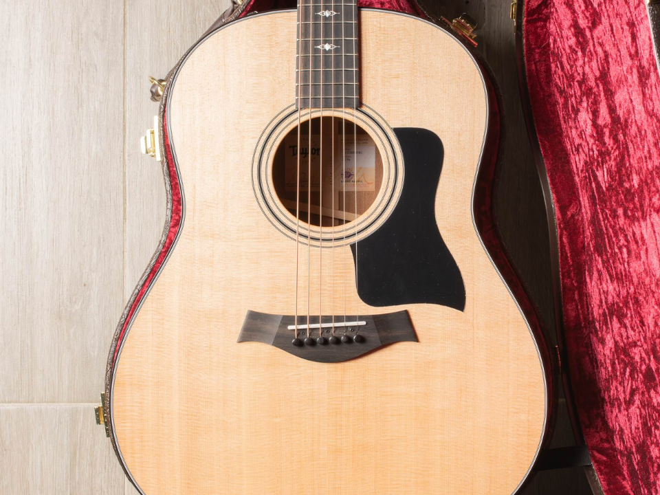 Đàn guitar Taylor 317E