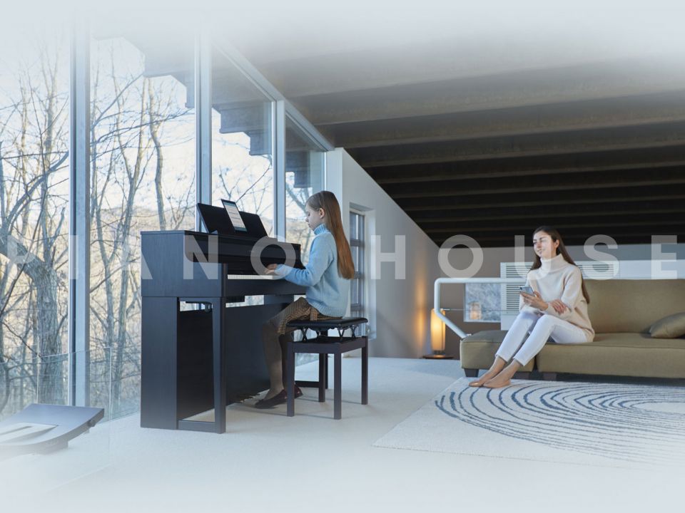 ROLAND HP-702 CB