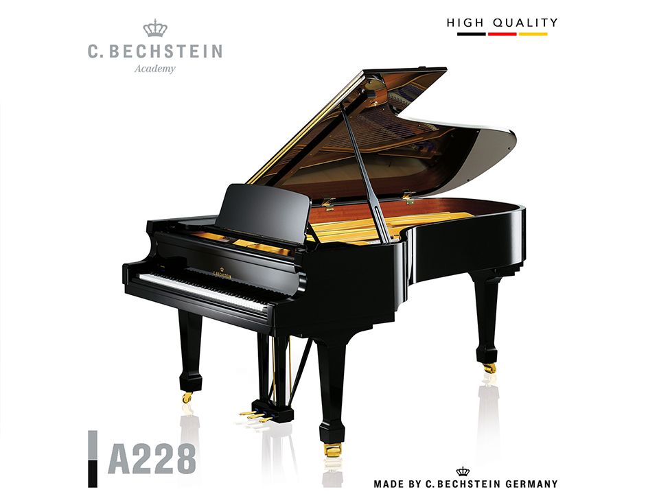 C.Bechstein Academy A228