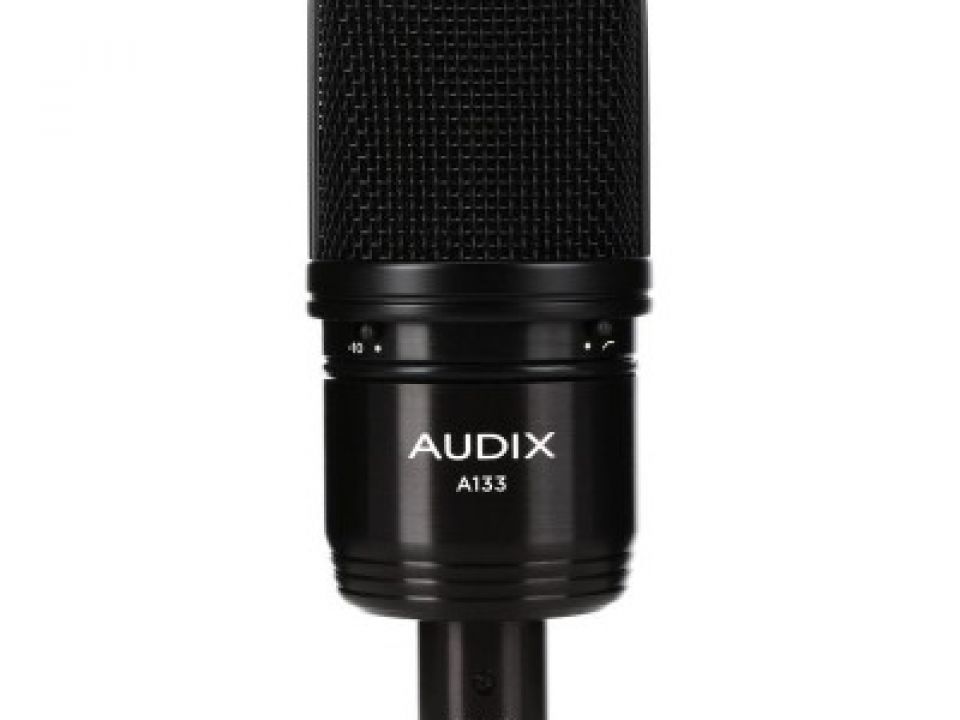 AUDIX A133
