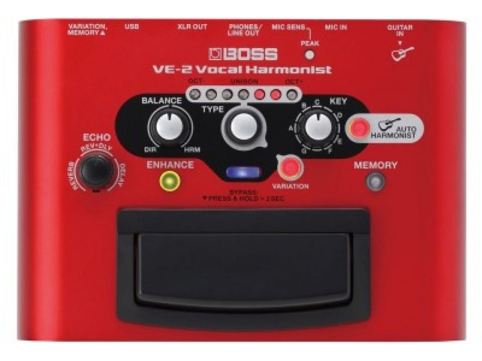 Boss VE2