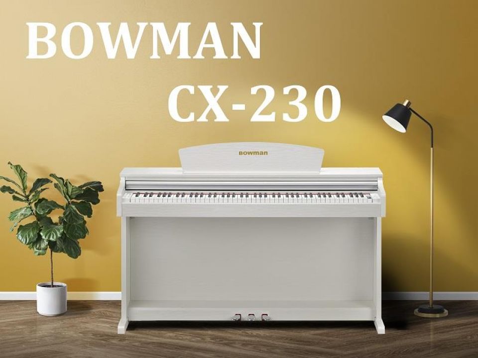 CX230 WH