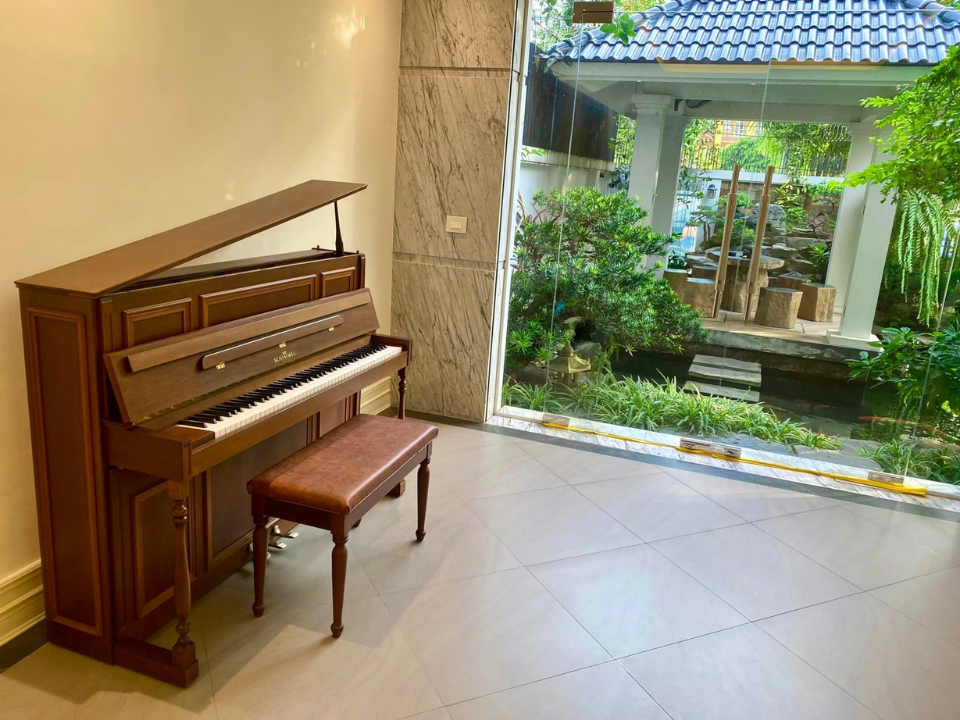 Schimmel 114