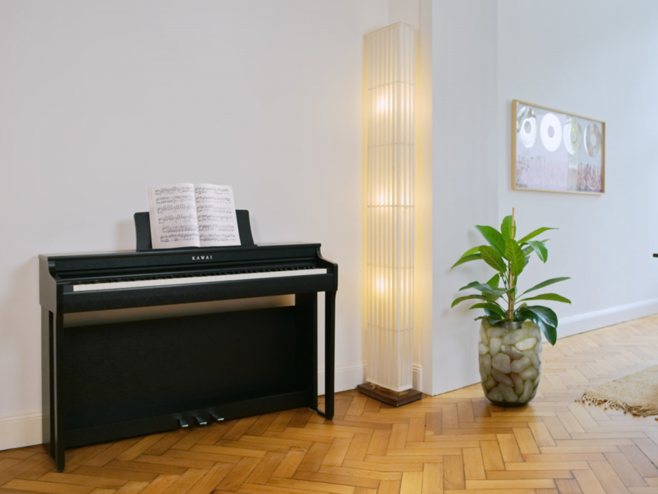KAWAI CN201 R