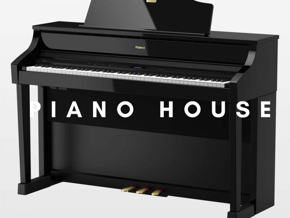 ROLAND HP-508 PE