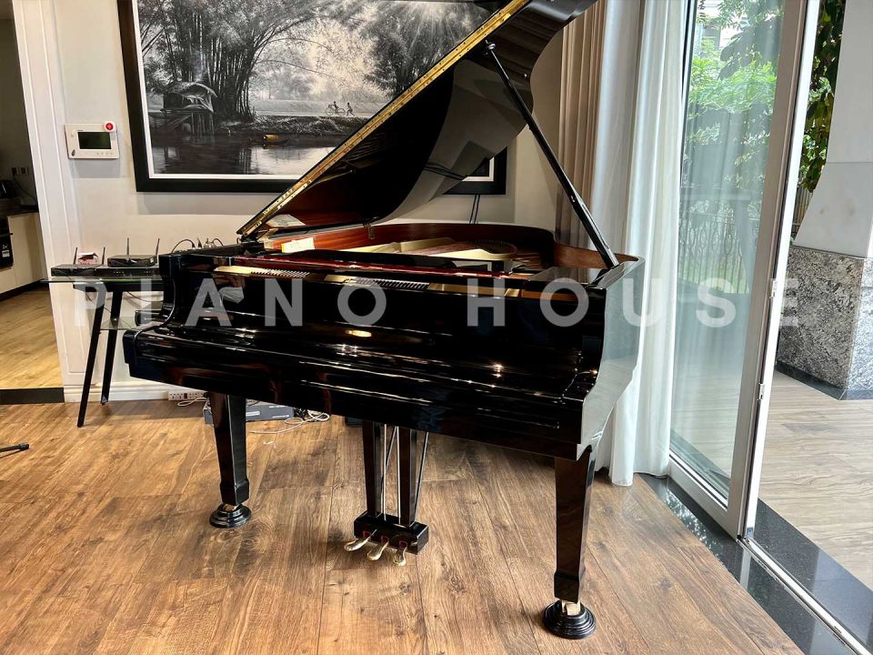 YAMAHA C3E