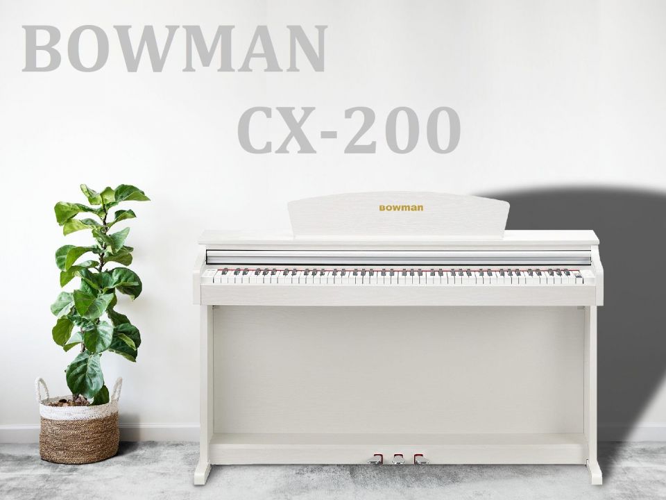CX200 WH