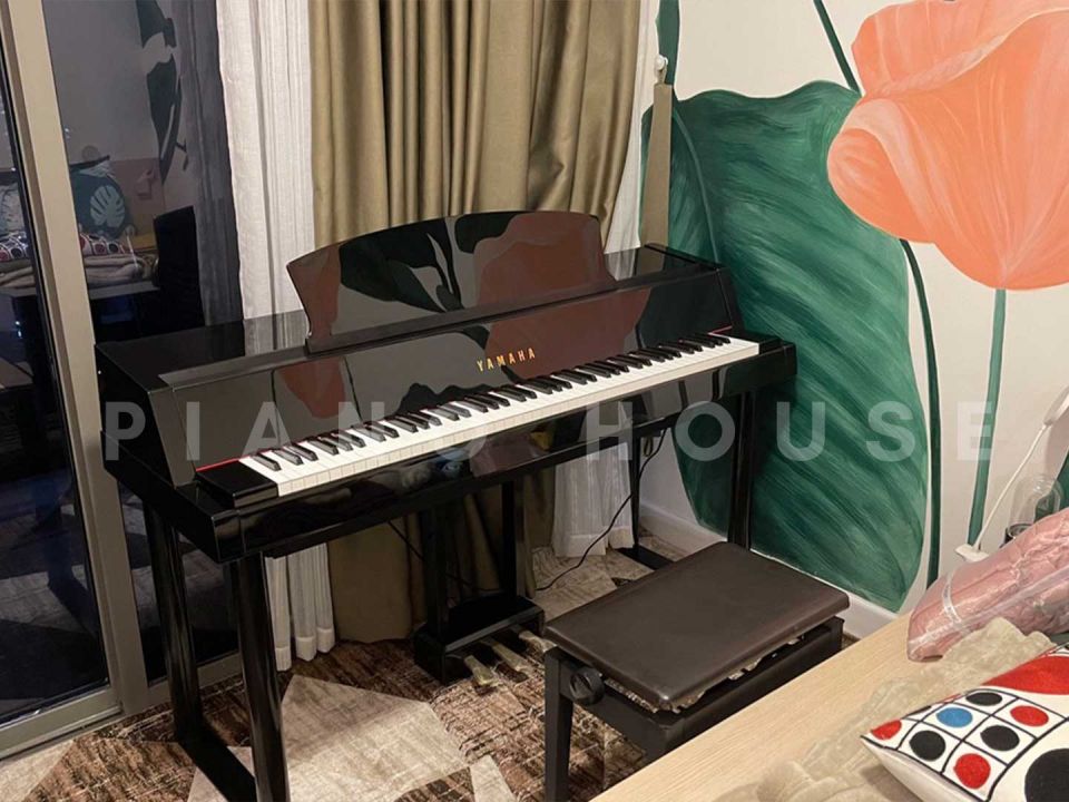 YAMAHA DGP-5