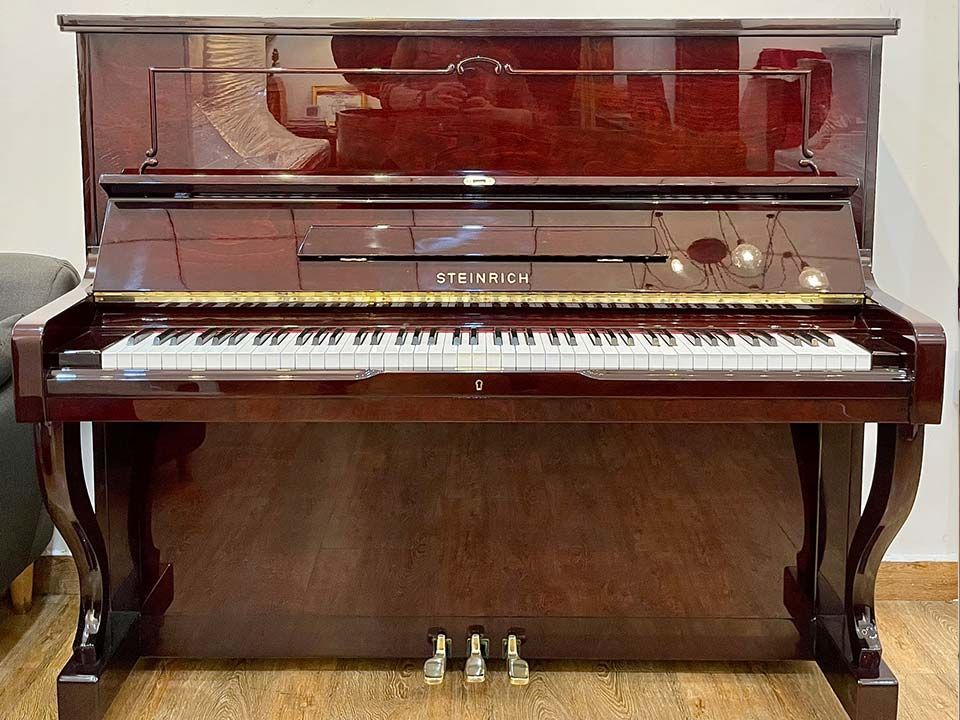 STEINRICH S17
