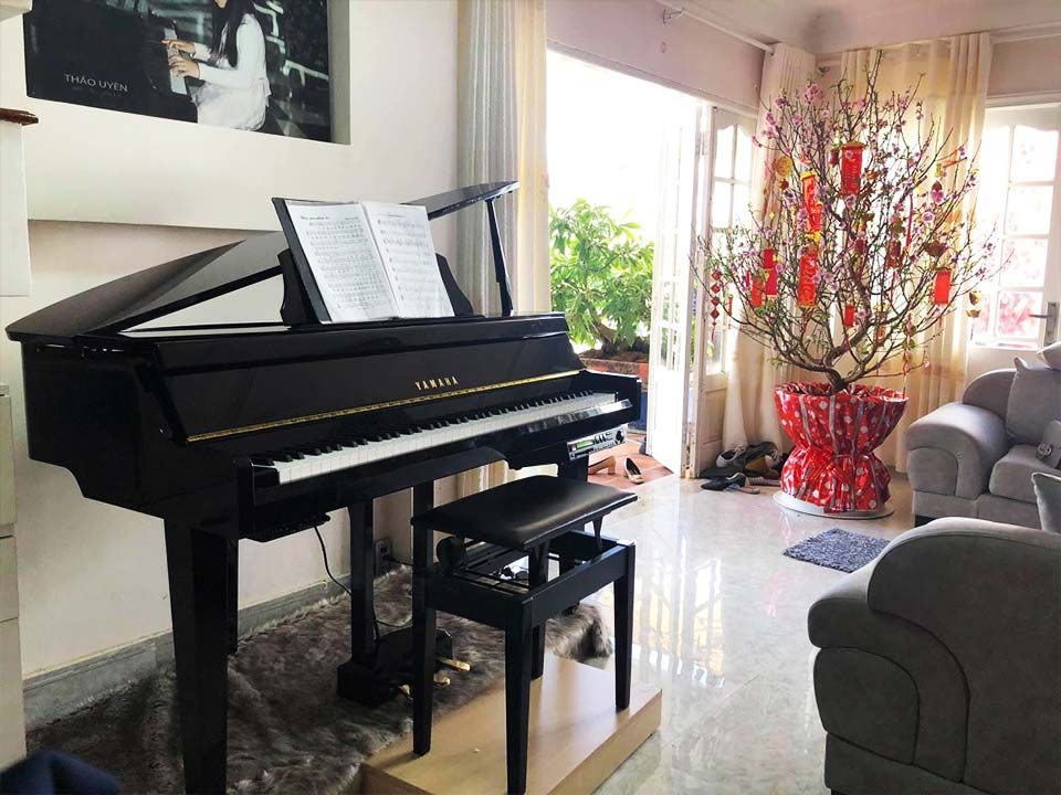 YAMAHA DGP2 SXG