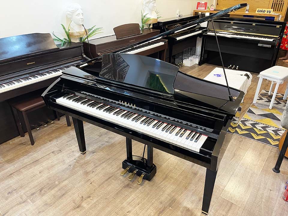 YAMAHA DGP7
