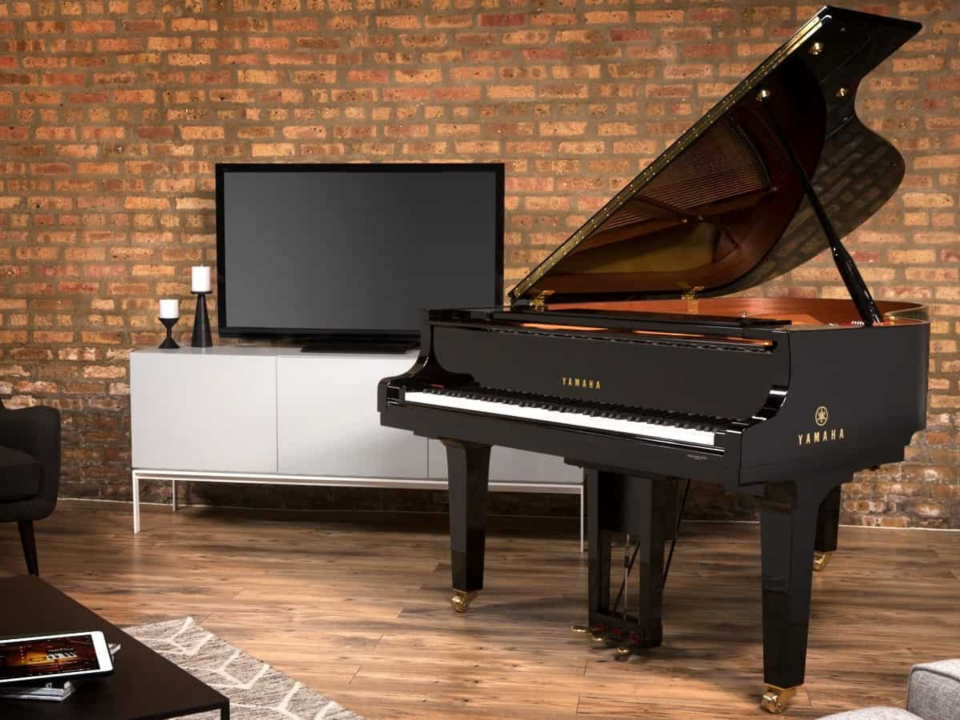 YAMAHA DGC2 ESNT PE