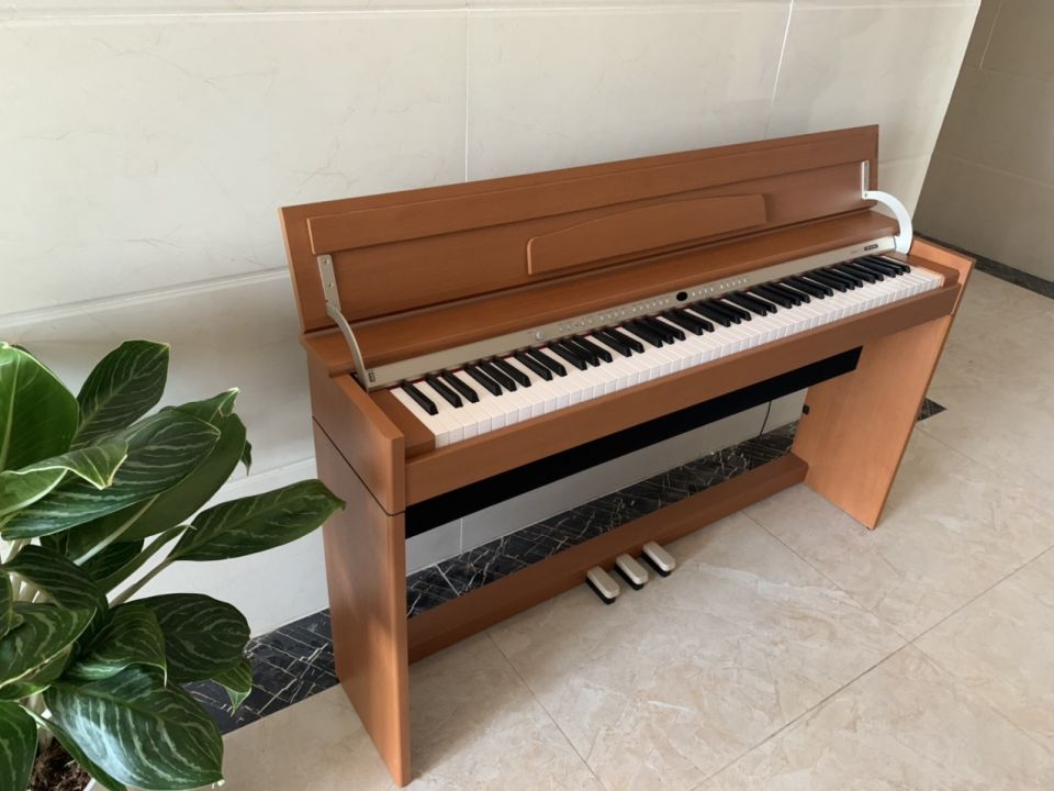 ROLAND DP-970