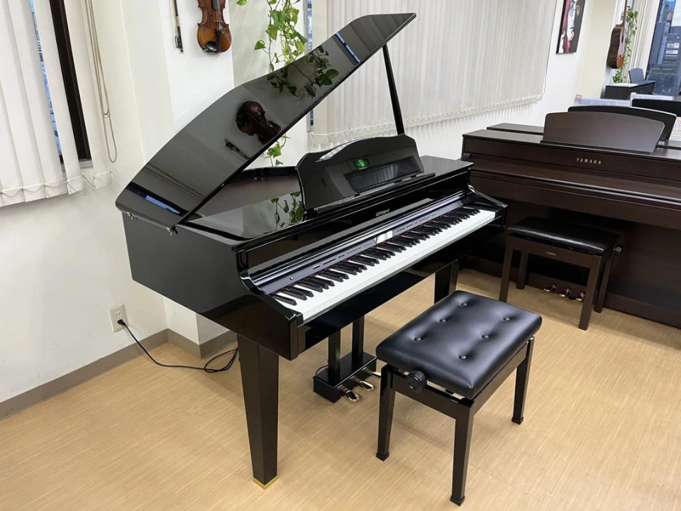 ROLAND GP-607 PE