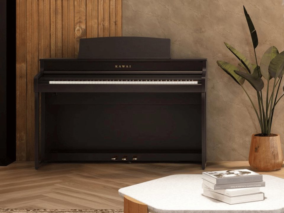 KAWAI CA501 R (2023)