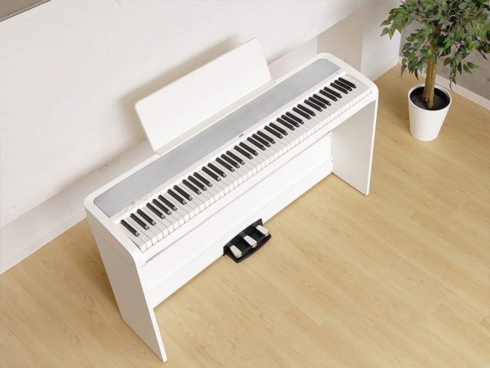KORG B2SP (New)