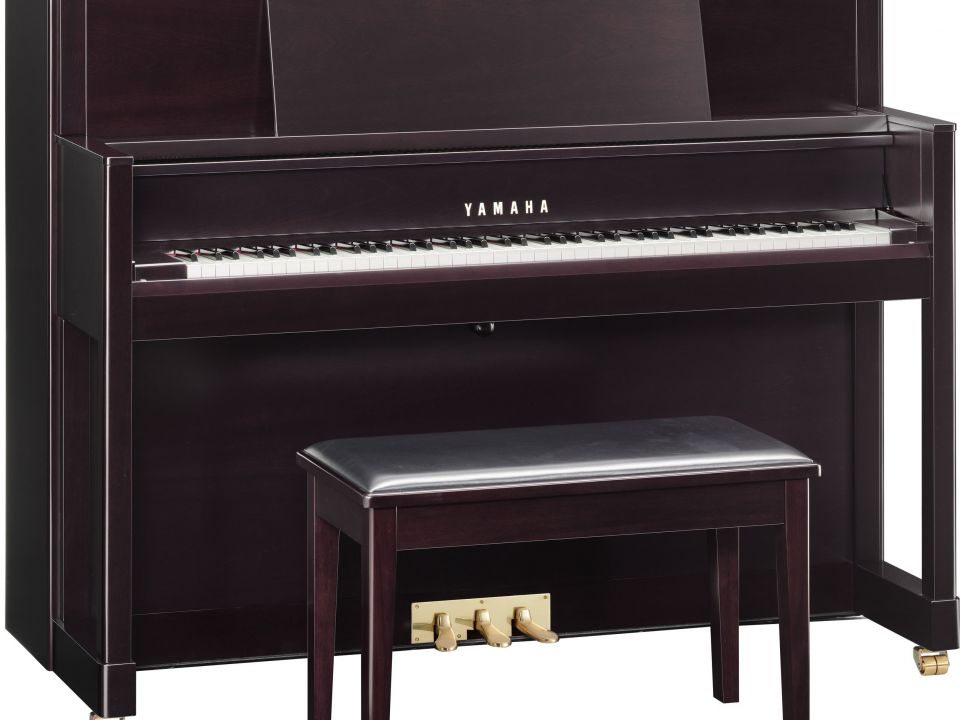 YAMAHA M5 SBW