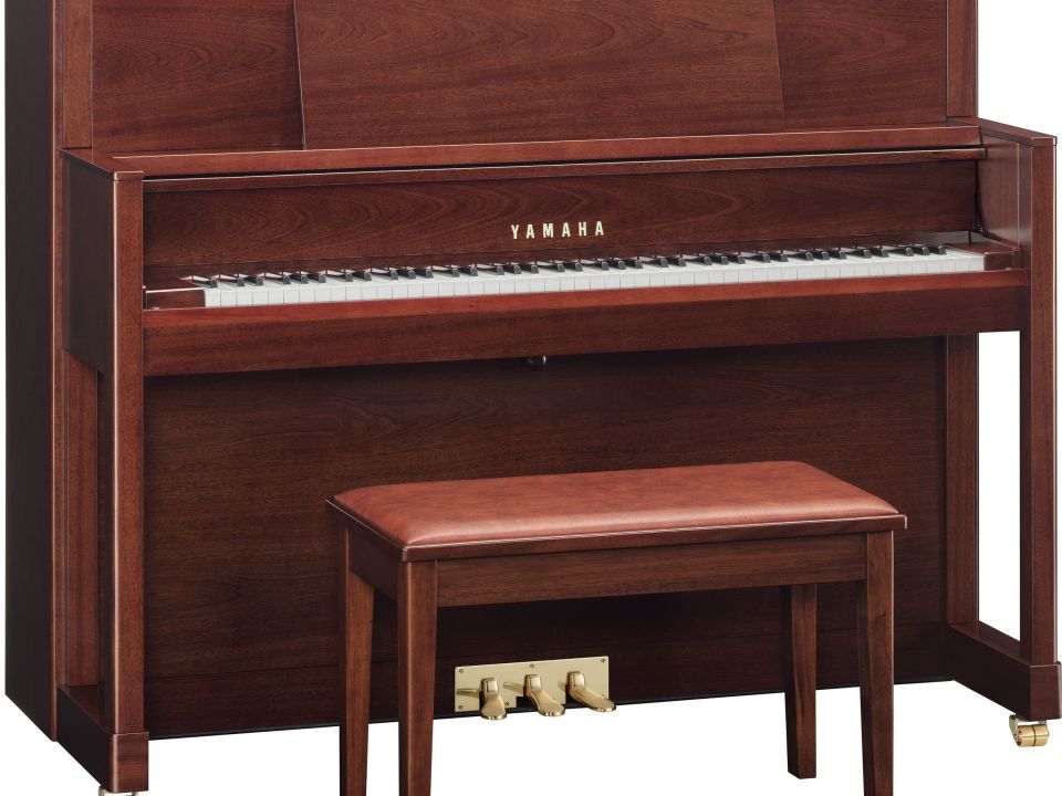 YAMAHA M5 SDW