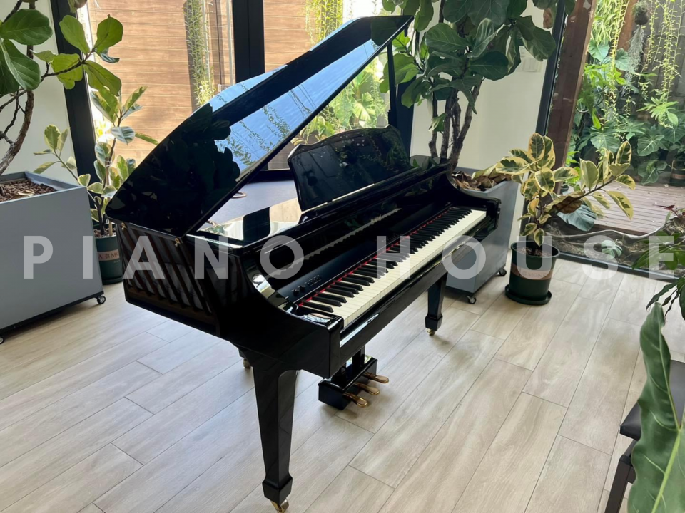 ROLAND RG-3F PE