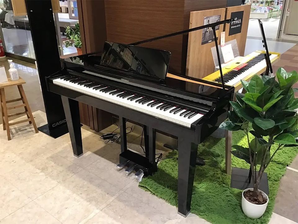 ROLAND GP-3