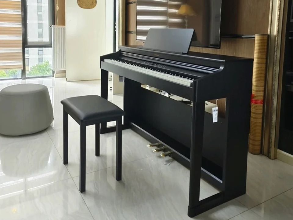 ROLAND RP-107