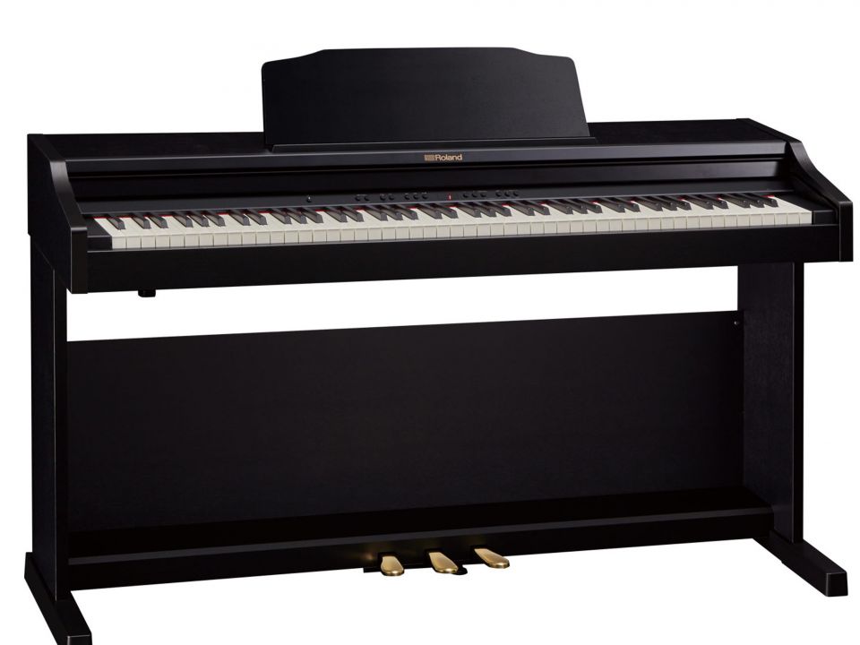 ROLAND RP-302 RW