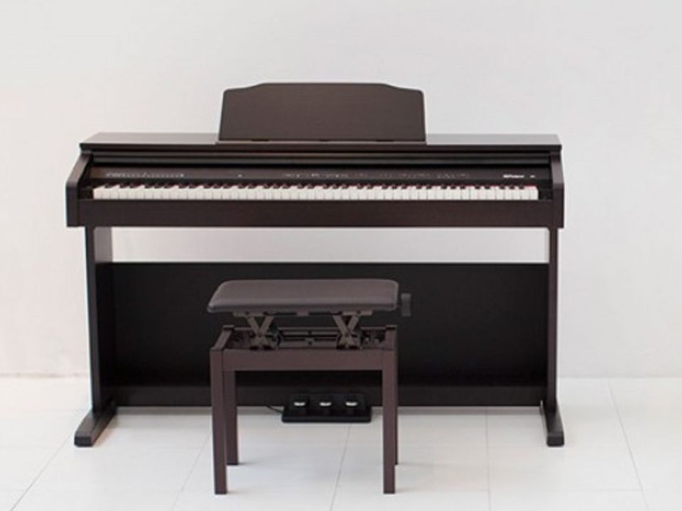 ROLAND RP-30