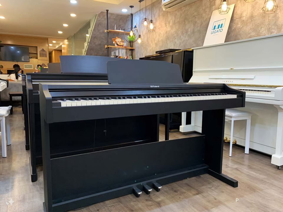 ROLAND RP-102 (Used)