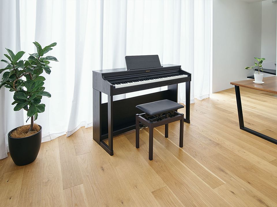 ROLAND RP-701 CB