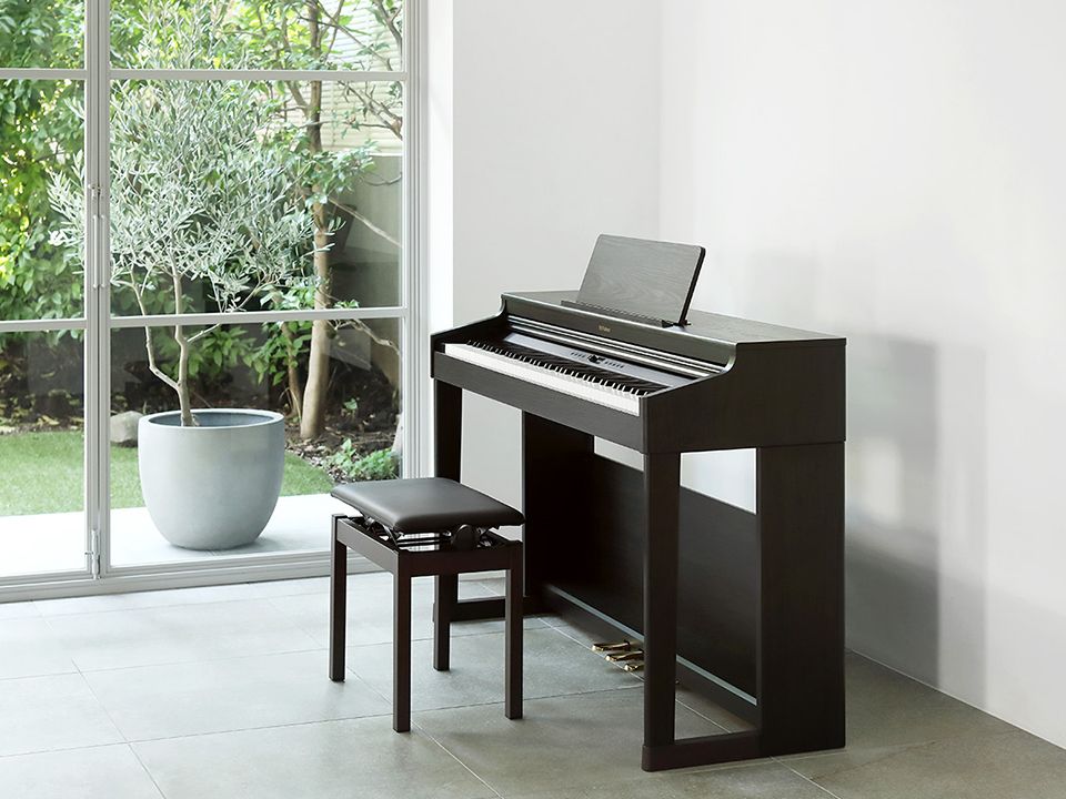 ROLAND RP-701 DR