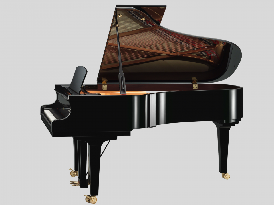 YAMAHA S6X