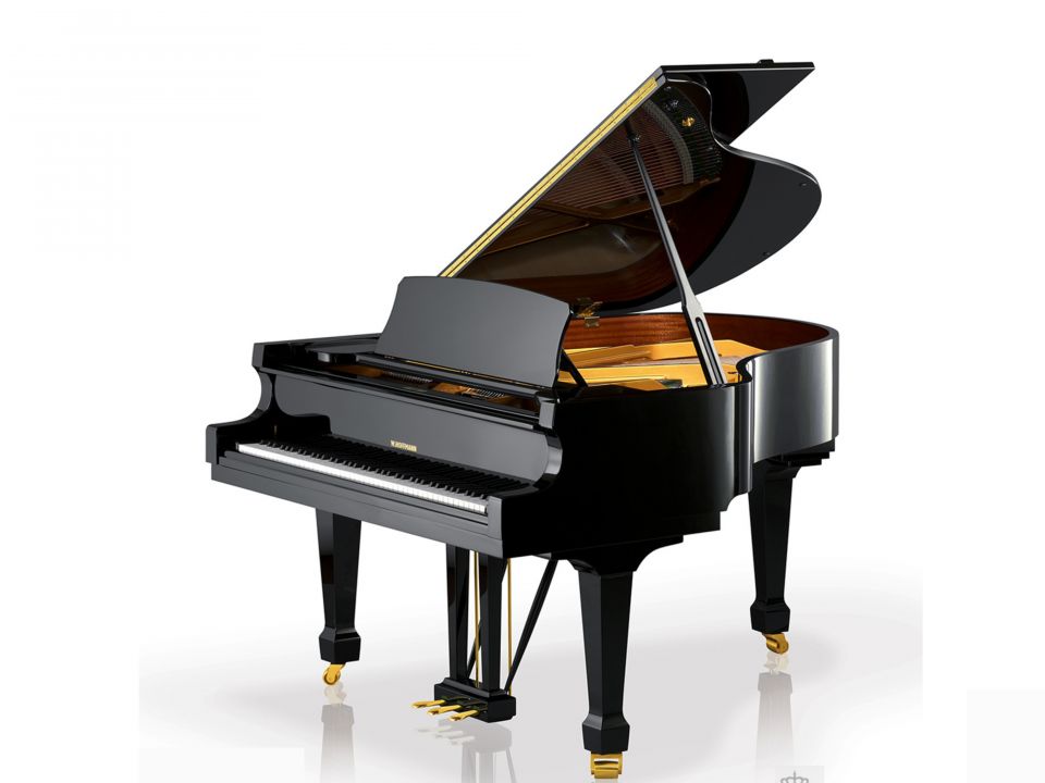 T186 (W.HOFFMANN TRADITION)