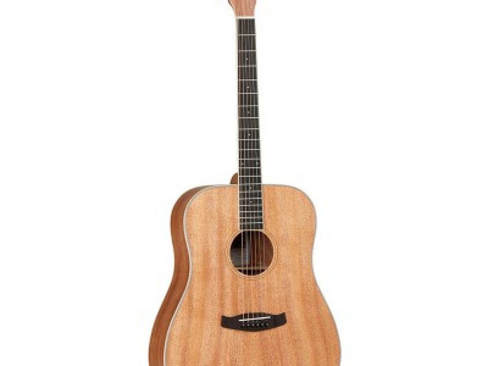 Tanglewood TWU-D
