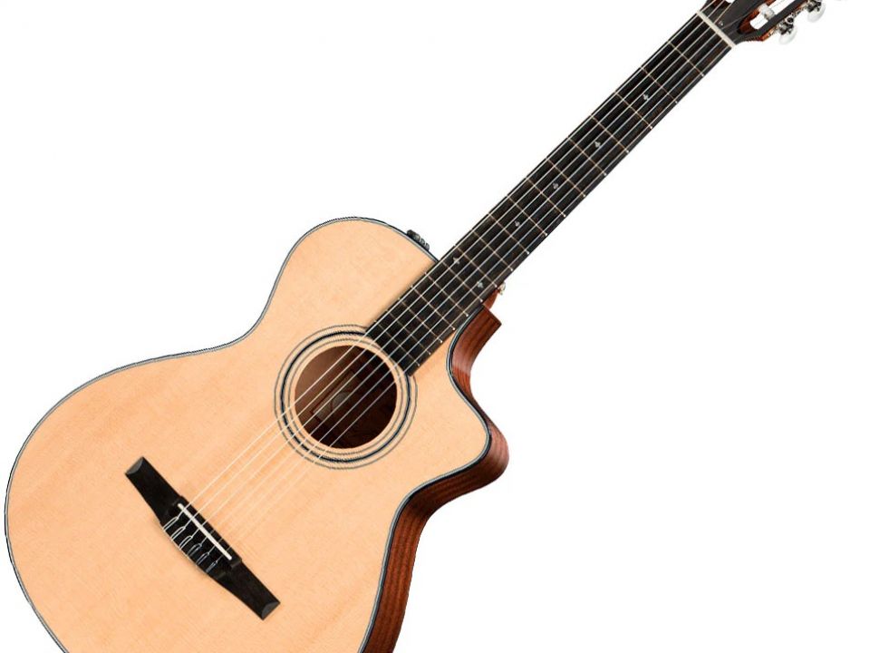 Đàn guitar Taylor 312CE-N