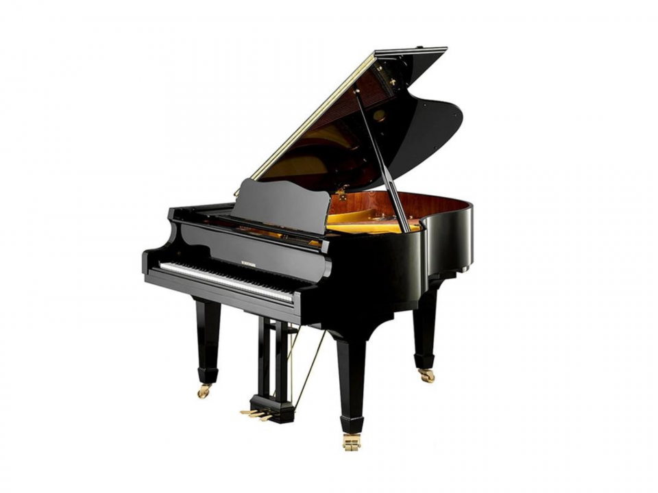 V158 (W.HOFFMANN VISION)