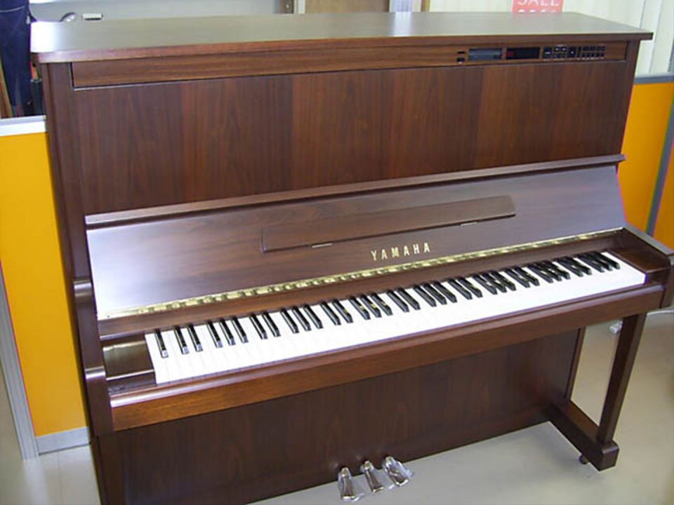 YAMAHA SX100 WnC