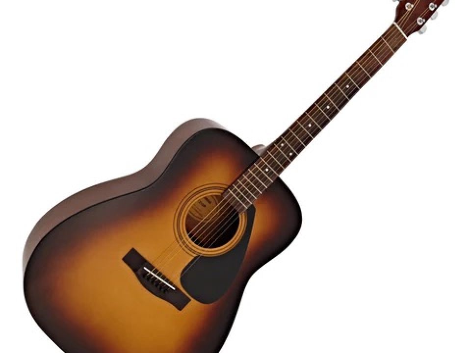 Guitar Acoustic F310P