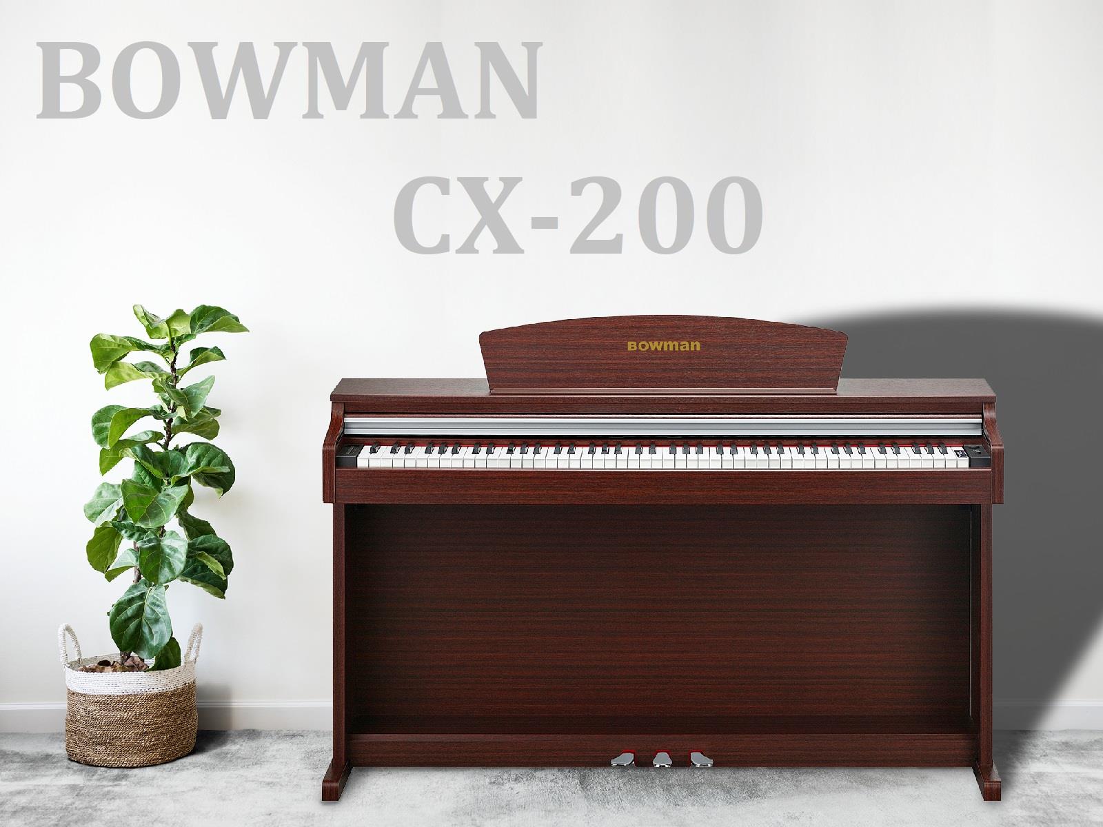 Bowman PIANO Viá»t Nam -